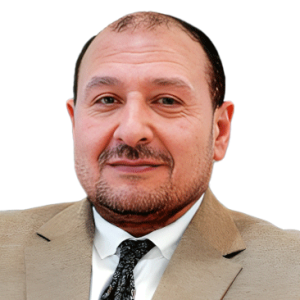 هشام عناني