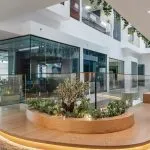 Modern office with greenery and glass